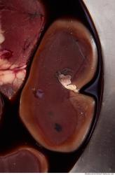 Photo Textures of Beef Viscera